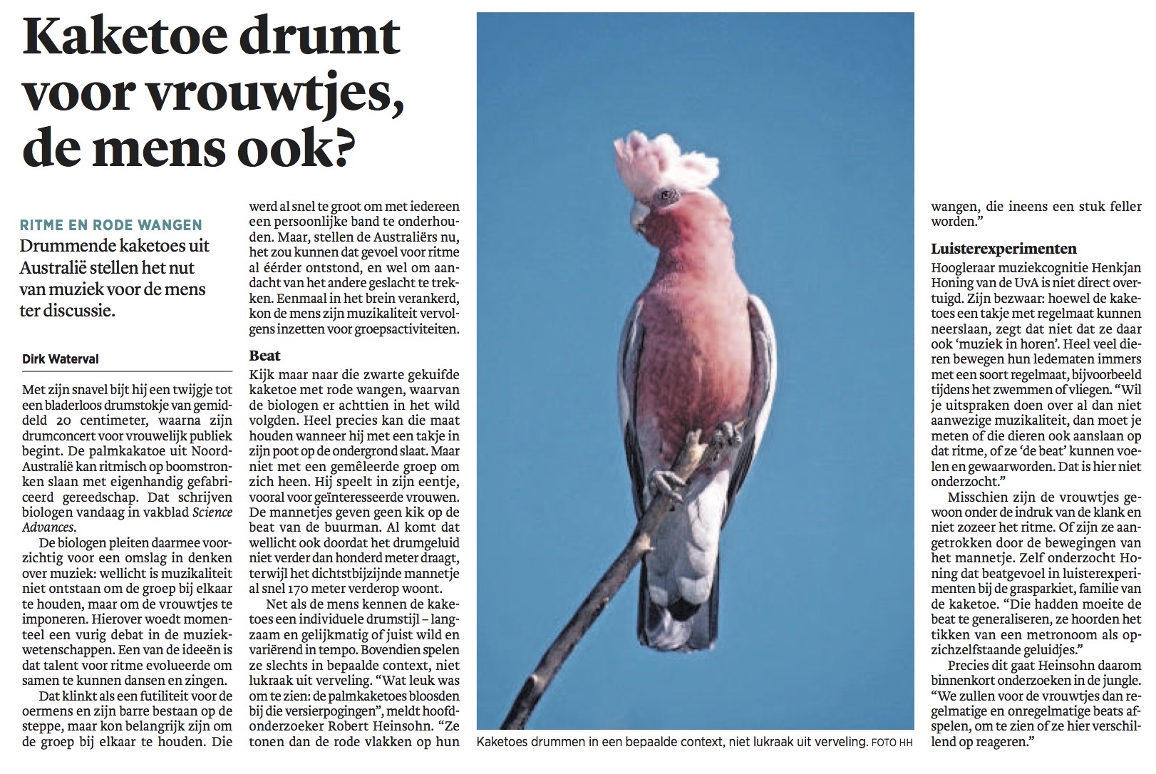 Trouw