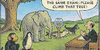 Are humans unique?