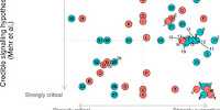 Does music have  evolutionary origins?