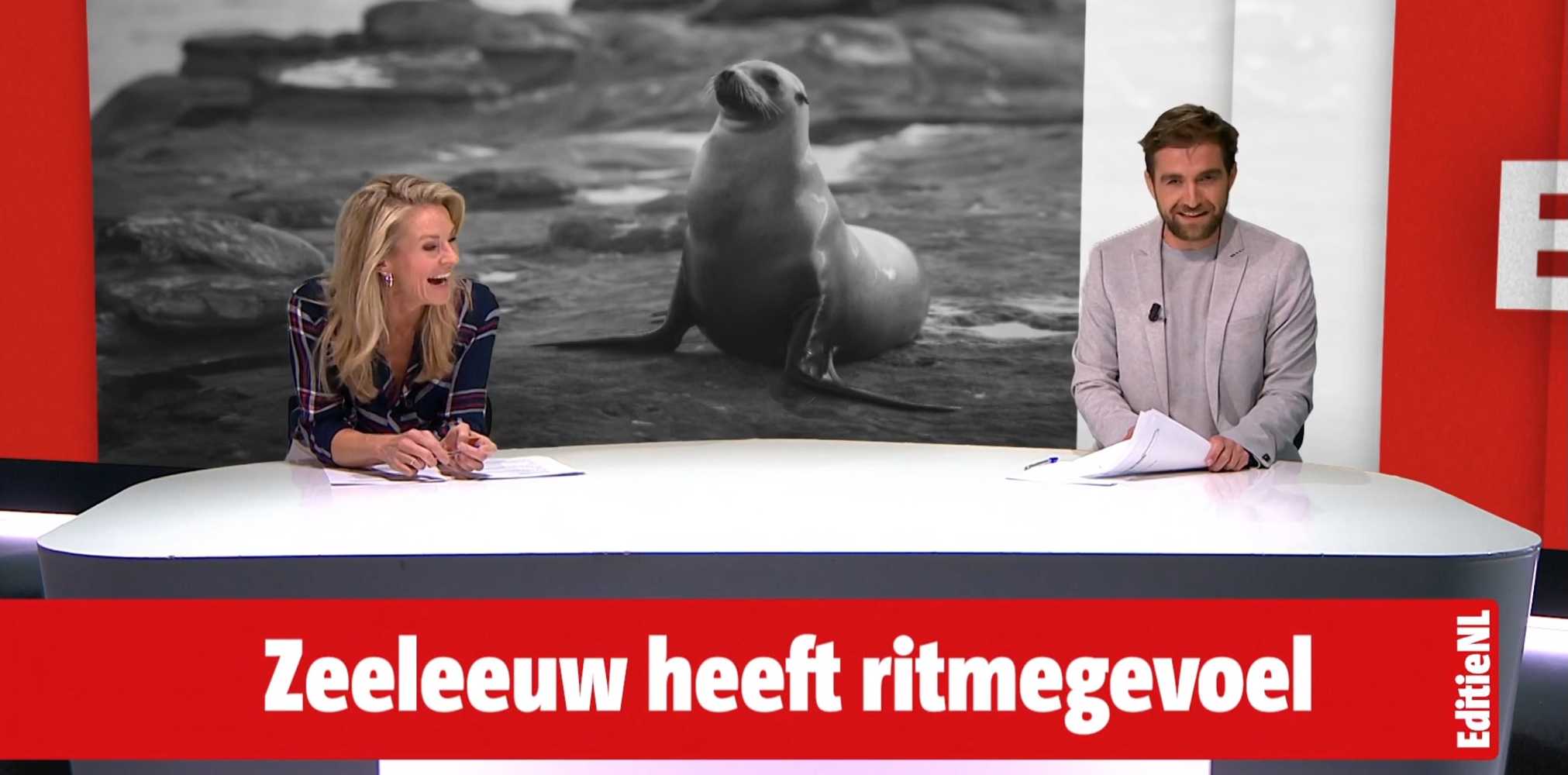Zeeleeuw houdt beter maat dan jij