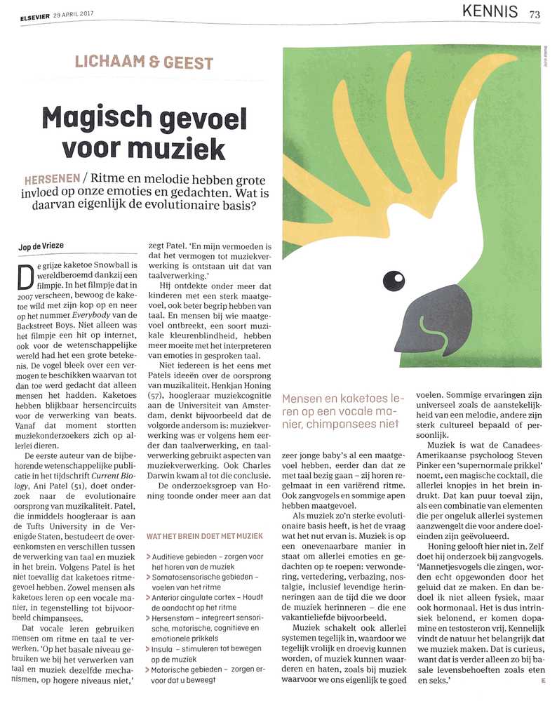 Magisch gevoel voor muziek